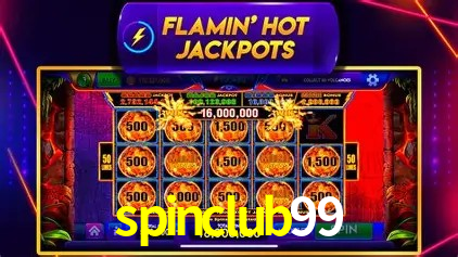 Statistics spinclub99